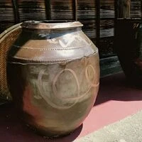 画像1460：その他
